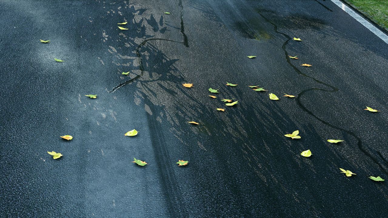 Project CARS : nouvelle fournée d'images