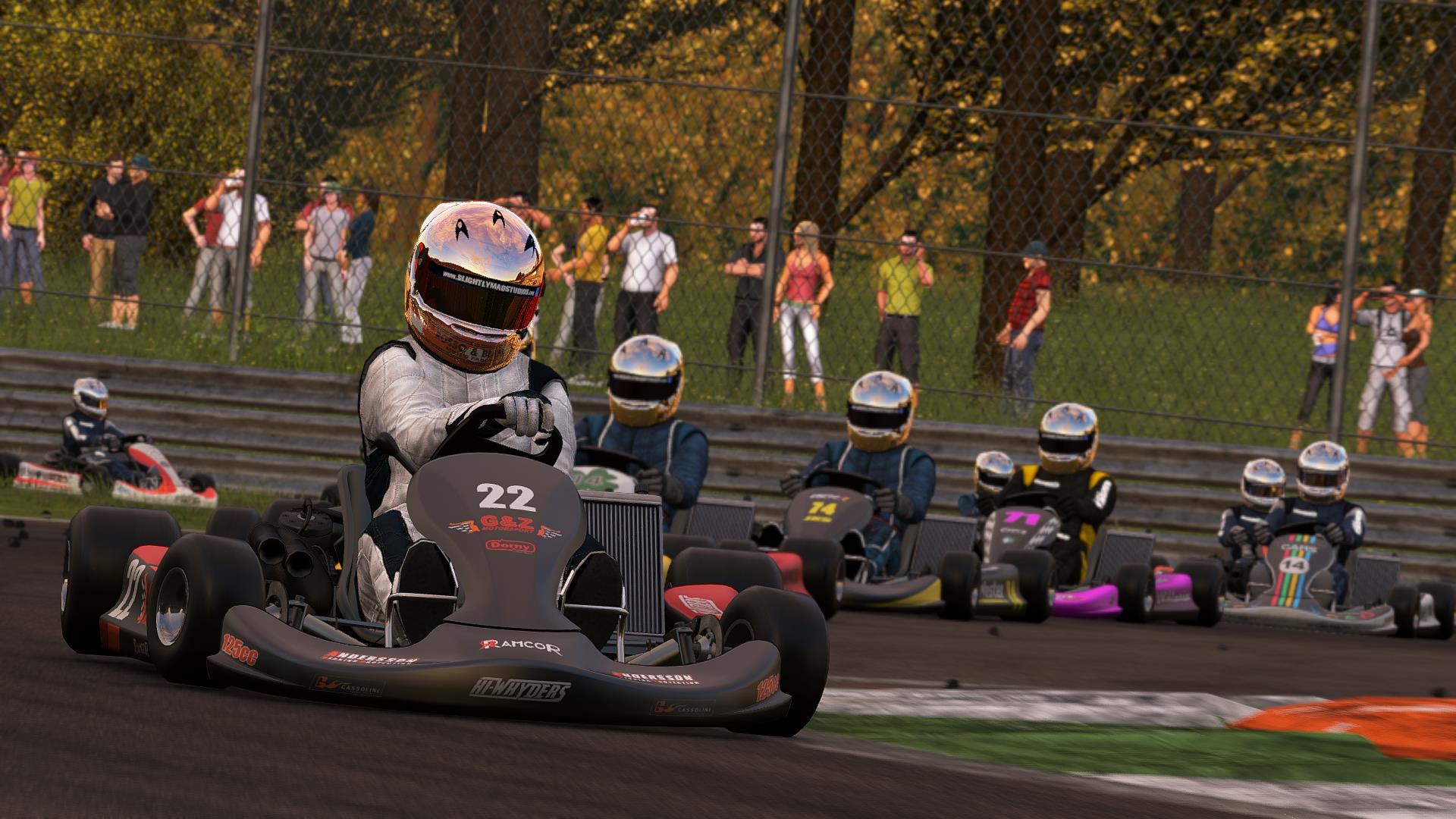 Project CARS en mode karting
