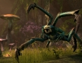 Screens The Elder Scrolls Online