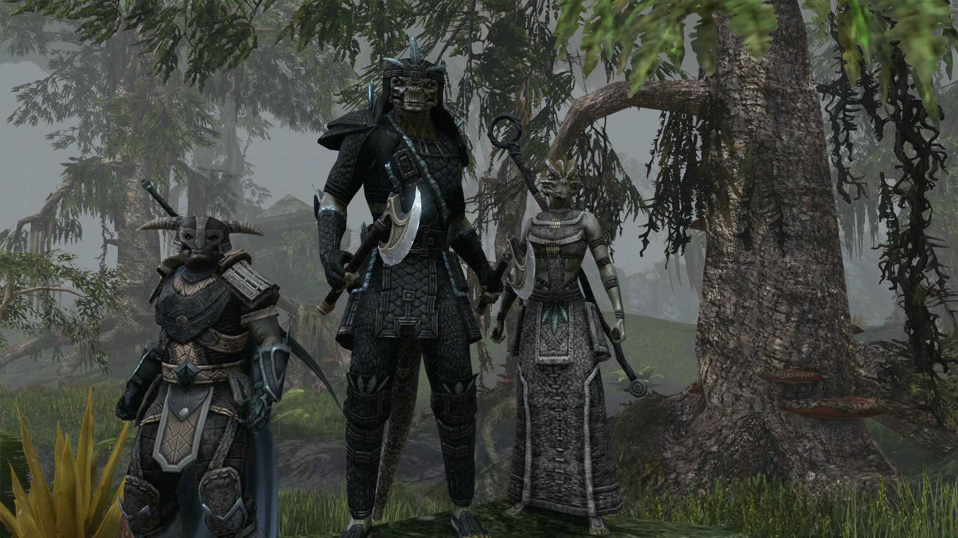The Elder Scrolls Online : nouvelles images !