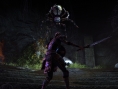 Screens The Elder Scrolls Online