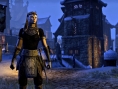 Screens-Video The Elder Scrolls Online