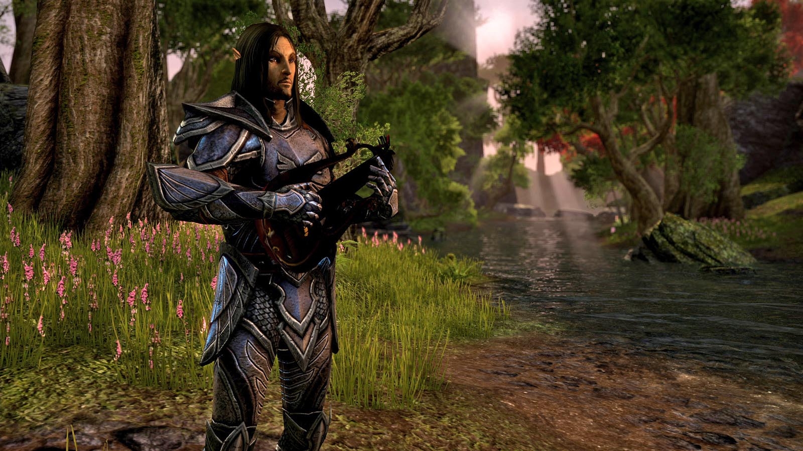 QuakeCon 2013 : présentation Elder Scrolls Online
