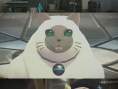 Namco Bandai annonce Tales of Xillia 2