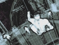 Screens Splinter Cell : BlackList