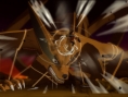 Screens Naruto Shippuden : Ultimate Ninja Storm 3