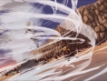 Naruto Storm 3 : une démo en approche