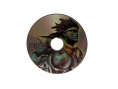 Jojo's Bizarre Adventure ASB : trailer et collector