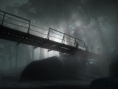 Until Dawn : PS Move finalement non obligatoire ?