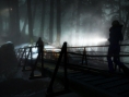 Until Dawn : PS Move finalement non obligatoire ?