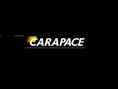 Carapace