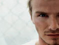 David Beckham Soccer