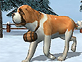Dog's Life