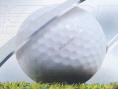 ESPN Final Round Golf 2002