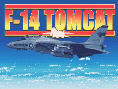 F-14 Tomcat