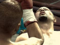 Fight Night Round 3
