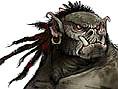 Forgotten Realms : Demon Stone 