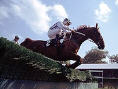G1 Jockey
