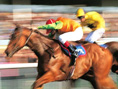 Gallop Racer 2