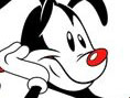 Les Animaniacs : Light Camera Action