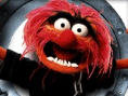 Muppets Party Cruise