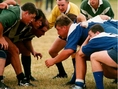 Pro Rugby Manager 2005