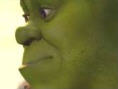 Shrek Super Party