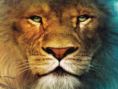 The Chronicles of Narnia : The Lion, The Witch and The Wardrobe