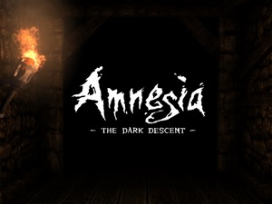 Amnesia : Collection