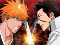 Bleach 6