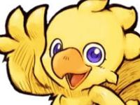 Chocobo Racing 3D