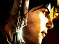 Dark Sector