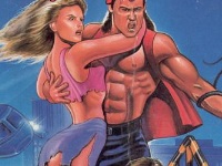 Double Dragon II : Wander of the Dragons