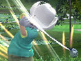 Everybody's Golf Course