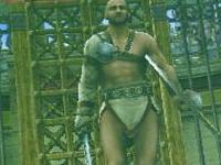 Gladiator Begins
