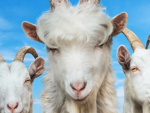 Goat Simulator 3