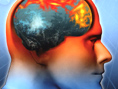 Hot Brain