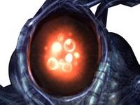 Metroid Prime 2 : Echoes (Nouvelle Façon de Jouer)