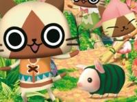 Monster Hunter Diaries : Airu Village