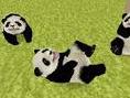 National Geographic Panda