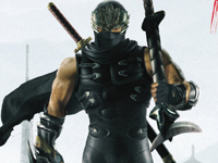 Ninja Gaiden 3D
