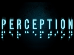 Perception