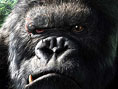 Peter Jackson's King Kong