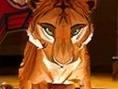 Le cirque des tigres