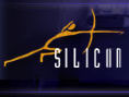 Silicon Garage Arts