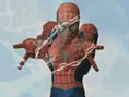 Spider-Man : Friend or Foe