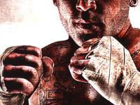 The Fight