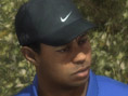 Tiger Woods PGA Tour 08