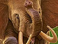 Zoo Tycoon 2