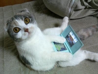 PeopleGamer